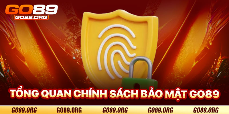 Tổng Quan Về Chính Sách Bảo Mật Go89